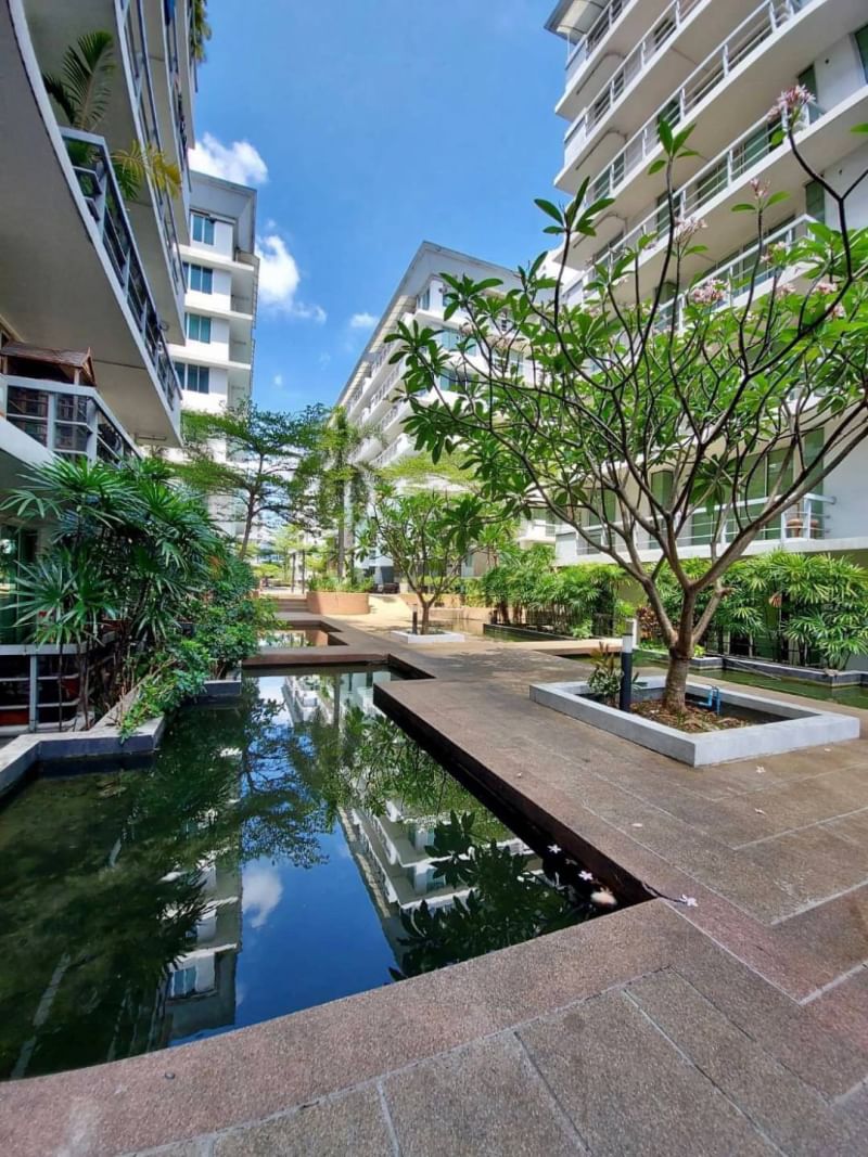 [ON-57] Waterford Sukhumvit 50 Condominium (วอเตอร์ฟอร์ด สุขุมวิท 50 คอนโดมิเนียม) : คอนโดมิเนียมให้เช่า 2 ห้องนอน ใกล้อ่อนนุช คอนโดห้องสวย ราคาดี