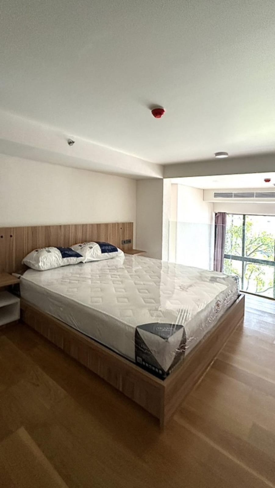 [SUA-298] Siamese Exclusive Sukhumvit 31 (Siamese Exclusive Sukhumvit 31) : คอนโดมิเนียมให้เช่า 1 ห้องนอน ใกล้สุขุมวิท คอนโดให้เช่า ติดต่อขอชมห้องวันนี้