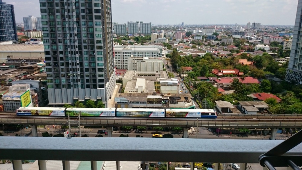 [ON-374] Rhythm Sukhumvit 50 (ริธึ่ม สุขุมวิท 50) : คอนโดมิเนียมให้เช่า 1 ห้องนอน ใกล้อ่อนนุช ทำเลดีมาก ห้องพร้อมอยู่