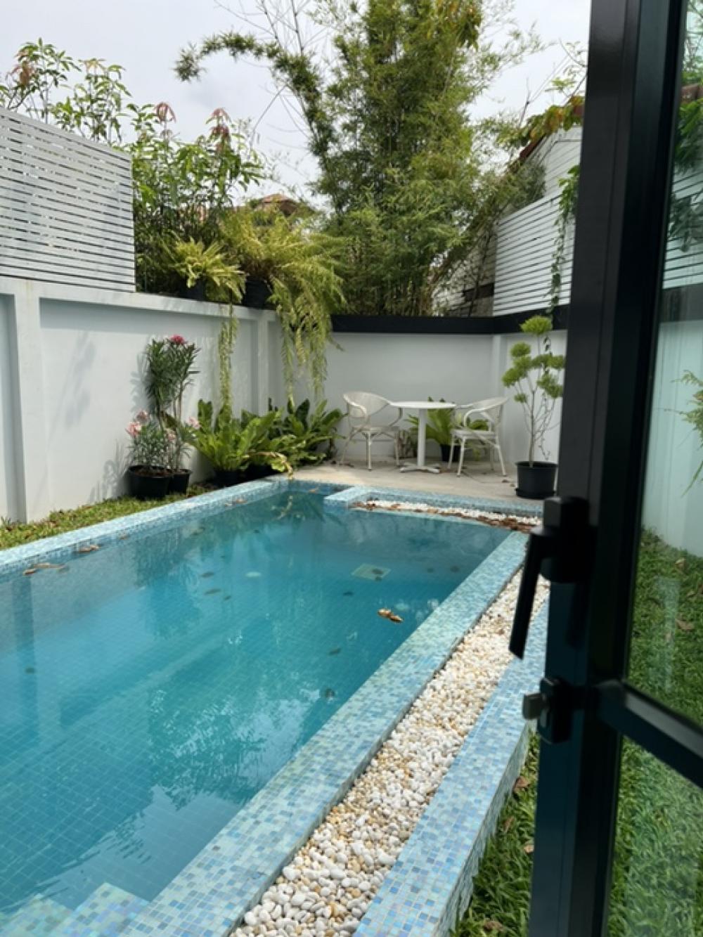 [ON-557] House for Rent near BTS Phra Kanong (บ้านให้เช่า ใกล้ BTS พระโขนง) : บ้านให้เช่า 5 ห้องนอน ใกล้พระโขนง บ้านสวย ทำเลดี