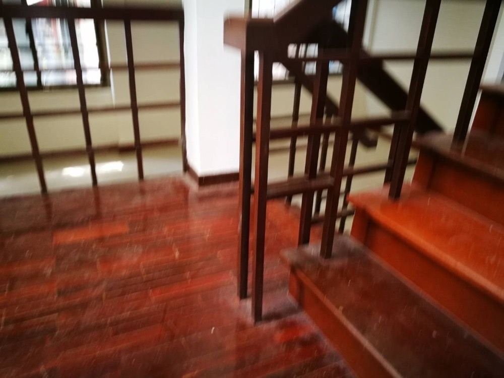 [SUP-531] House for Rent near BTS Phrom Phong (บ้านให้เช่า ใกล้ BTS พร้อมพงษ์) : บ้านให้เช่า เลี้ยงสัตว์ได้ 4 ห้องนอน ใกล้พร้อมพงษ์ บ้านสวย น่าอยู่มาก